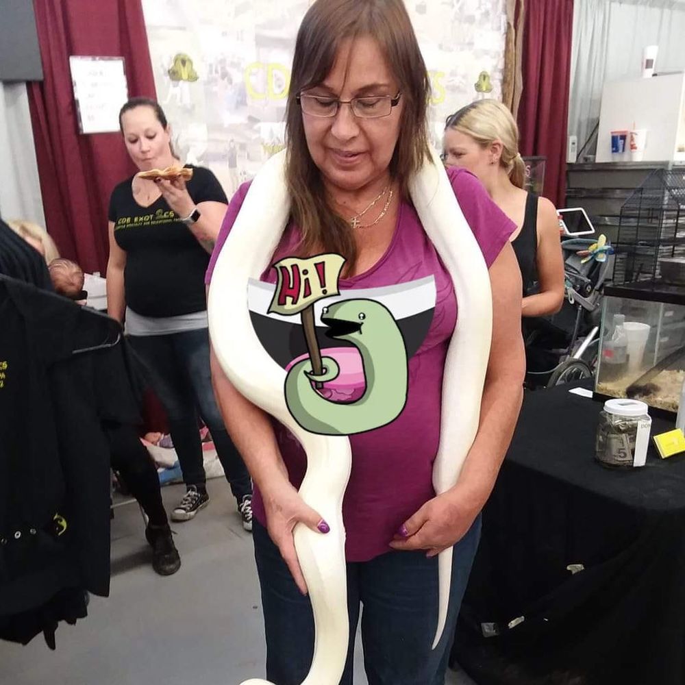 Meet your Posher, Joy